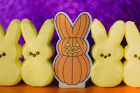 PUMPKIN PEEP sticker